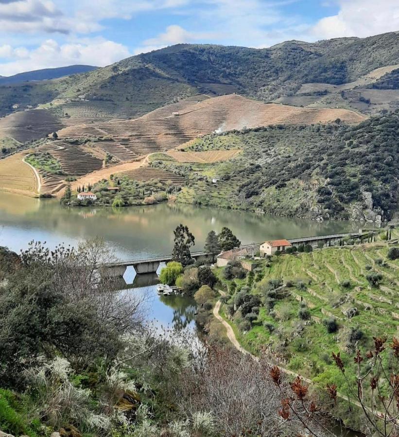 Quinta Da Ferradosa Wines Guest House São João da Pesqueira Bagian luar foto