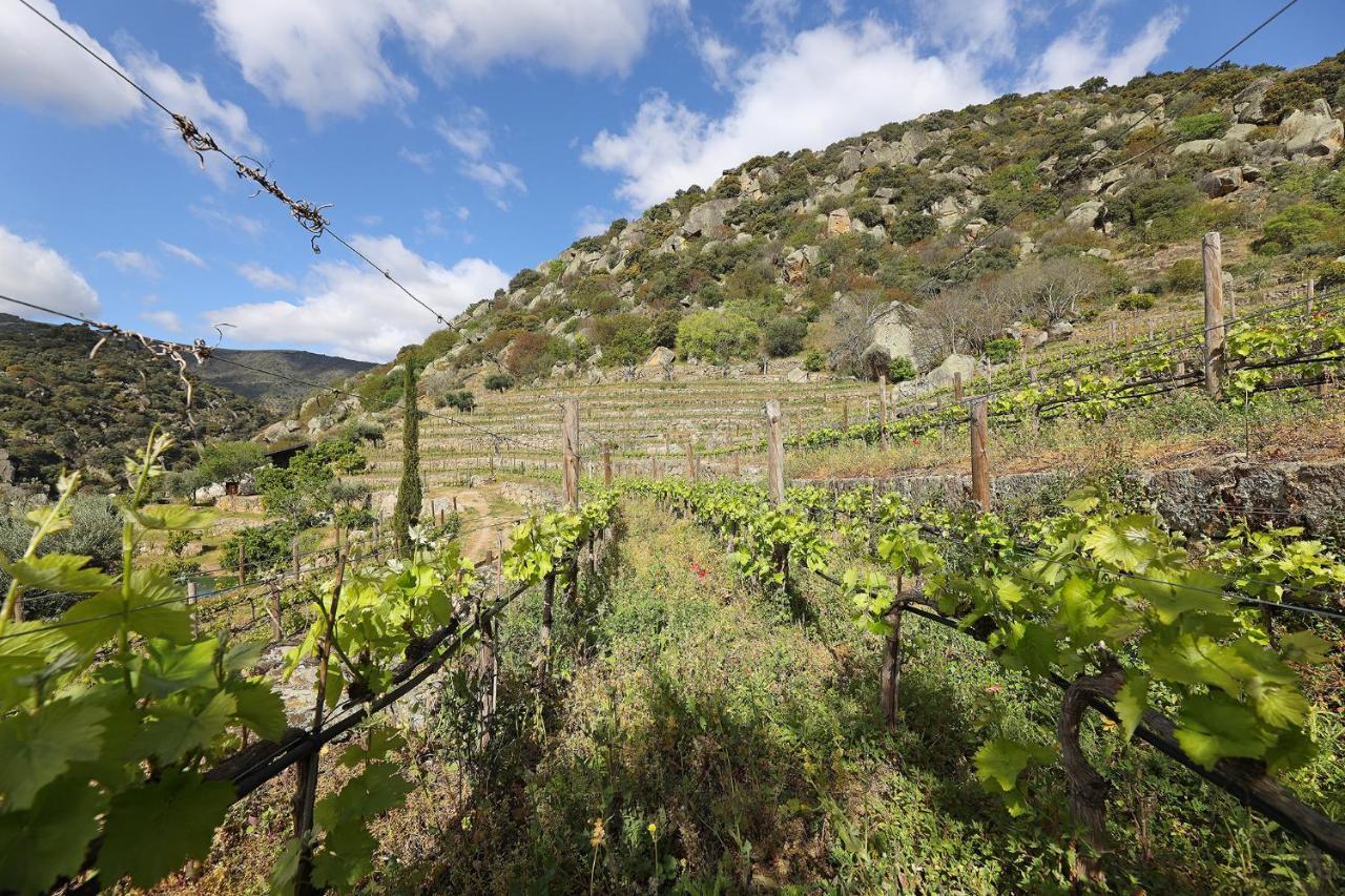 Quinta Da Ferradosa Wines Guest House São João da Pesqueira Bagian luar foto