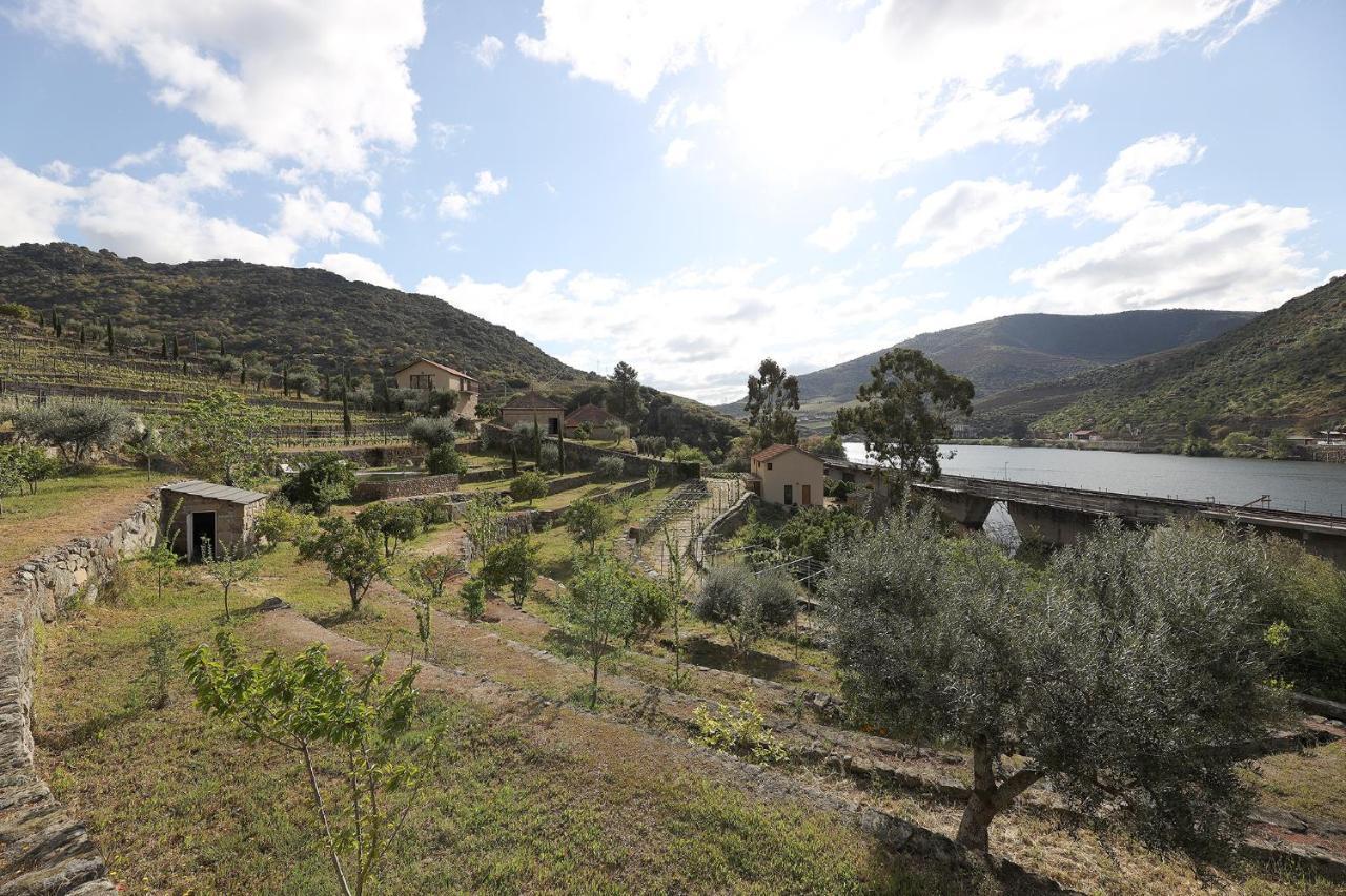 Quinta Da Ferradosa Wines Guest House São João da Pesqueira Bagian luar foto