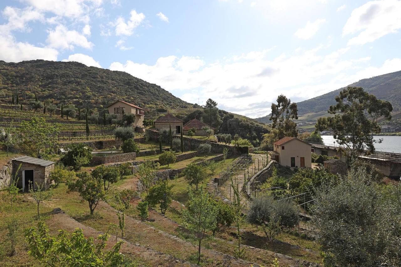 Quinta Da Ferradosa Wines Guest House São João da Pesqueira Bagian luar foto