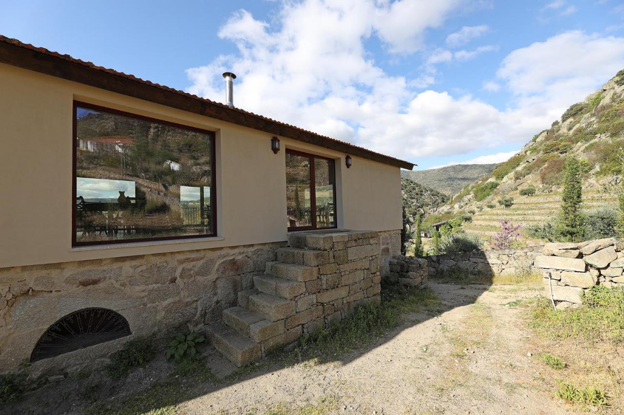 Quinta Da Ferradosa Wines Guest House São João da Pesqueira Bagian luar foto