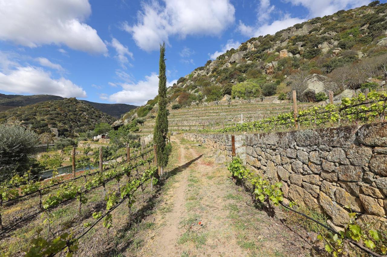 Quinta Da Ferradosa Wines Guest House São João da Pesqueira Bagian luar foto